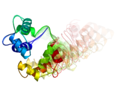 calmodulin